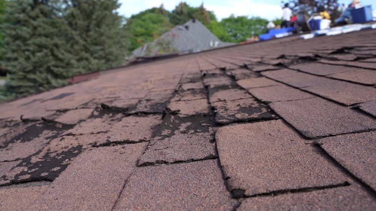 Roof Coating Services in Lewes, DE